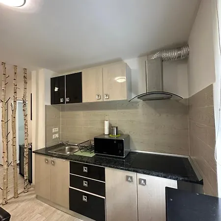Scandinavia Apartament Piatra Neamţ Exterior foto