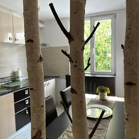 Scandinavia Apartament Piatra Neamţ Exterior foto