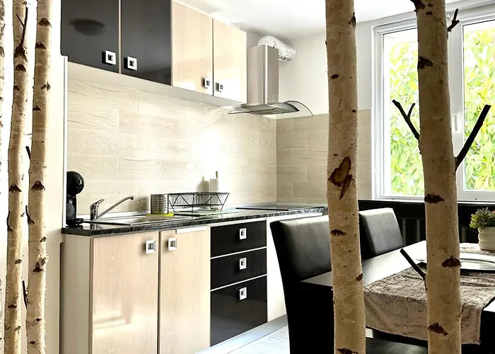 Scandinavia Apartament