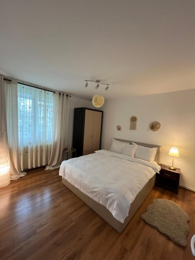 Scandinavia Apartment Piatra Neamţ