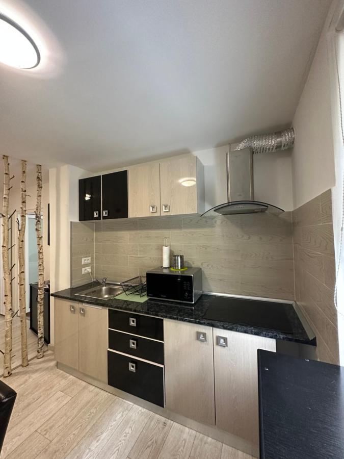 Scandinavia Apartment Piatra Neamţ